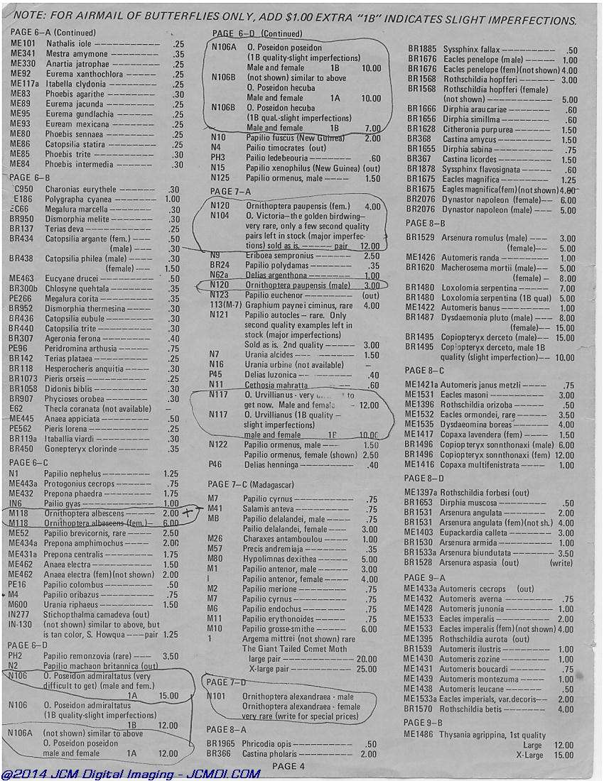 The Butterfly Company (NY) 18 page catalog 1976